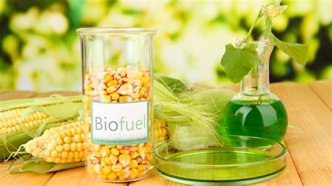  Flaxseed Oil - A Sustainable Source for Industrial Coatings and Biofuels!