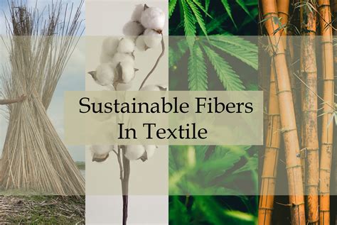 Silk: Unveiling Nature's Finest Textile Fiber and Its Role in Sustainable Fashion!