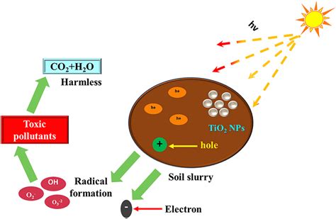  TiO2 Nanoparticles: A Catalyst for Revolutionizing Environmental Remediation and Energy Harvesting!