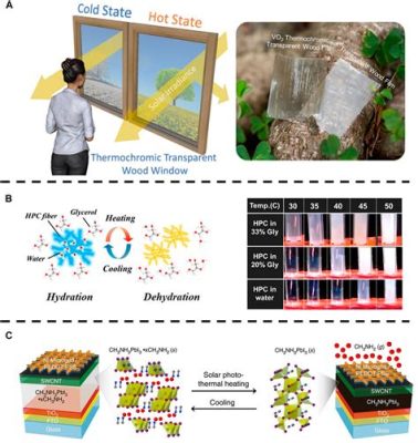 Vanadium Dioxide: Exploring Its Potential for Next-Generation Thermochromic Applications and Energy Efficient Smart Windows!