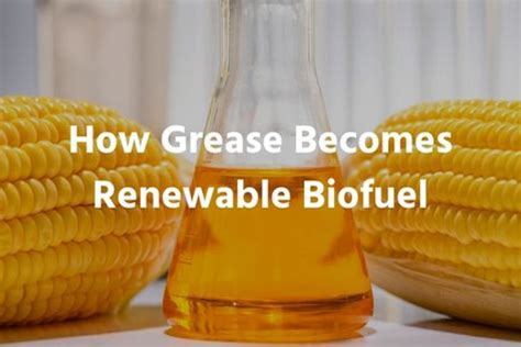 Yellow Grease - Transforming Waste into Biofuel and Lubricants!